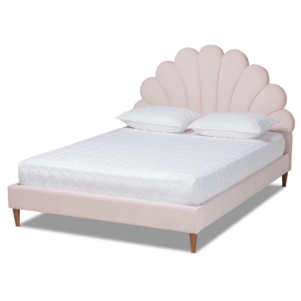 Image of Baxton Studio Odille Modern Glam Light Pink Velvet Upholstered Walnut Brown Finished Wood Queen Size Seashell Shaped Platform Bed