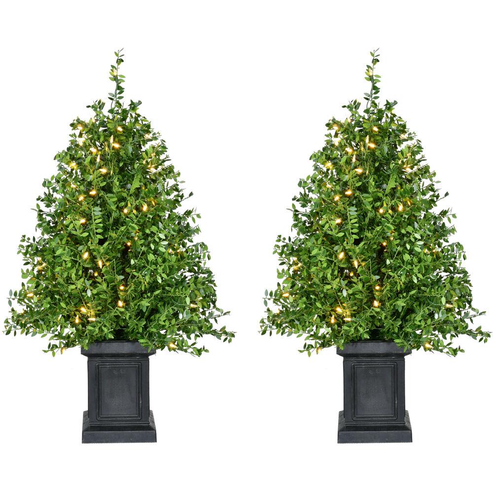 This is the image of FHF 2' Boxwood Tree in Black Pot - Set of 2