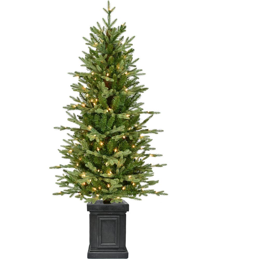 This is the image of FHF 4.5-Foot Porch Tree in Black Pot with Clear Lights